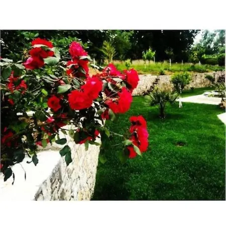 Tatil Evi Petra House