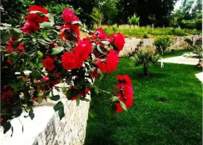 Casa vacanze Petra House